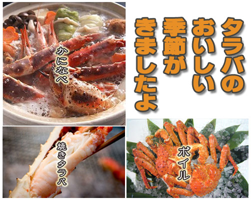 �^���o�I�̂��������G�߂ł��I