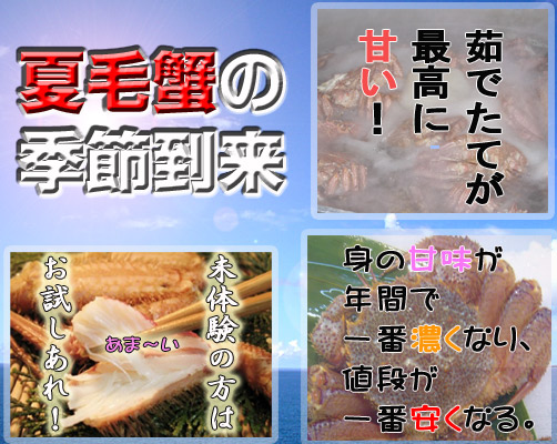 夏の毛蟹は甘い!安い!!