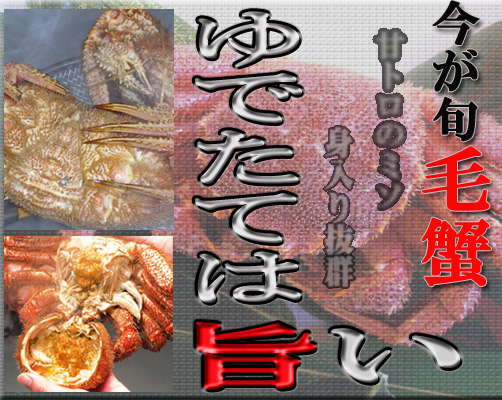 ���N�����������ъI�E�^���o�I����񋟂��܂��I